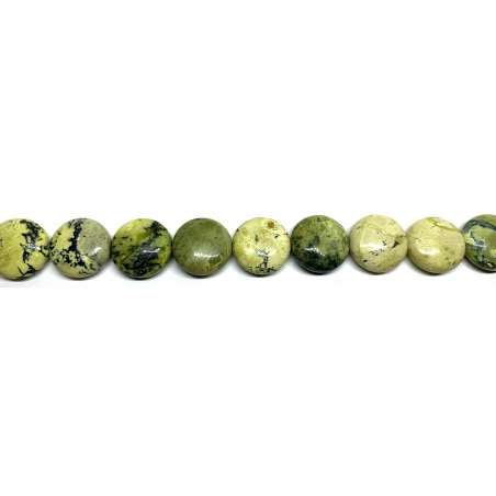 Serpentina disco 20mm