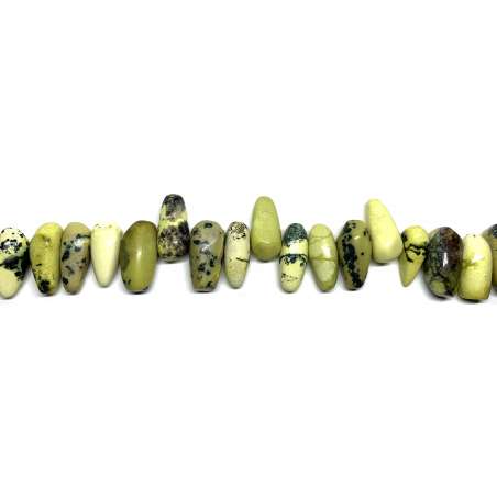 Serpentina nugget colmillo 12x25mm
