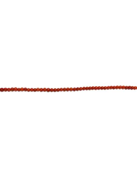 Coral Bambú 3mm