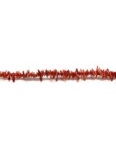 Coral Bambú Rama 10x2mm