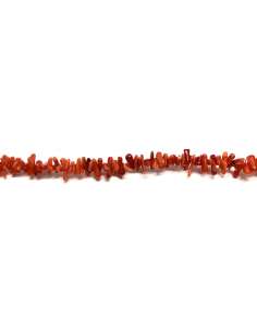 Coral Bambú Rama 10x3mm