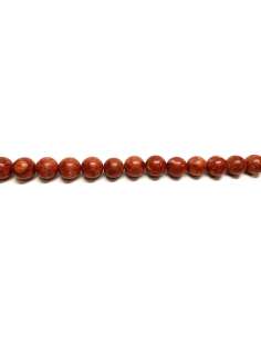 Coral Manzana / Esponja 12mm
