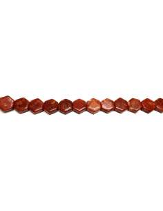 Coral Manzana / Esponja Hexágono 16mm