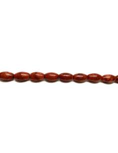 Coral Manzana / Esponja Oliva 9x14mm