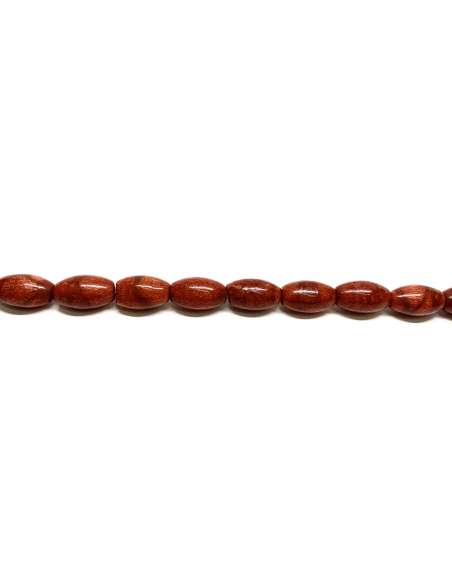 Coral Manzana / Esponja Oliva 9x14mm