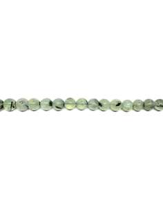 Prinita 8mm