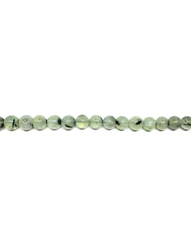 Prinita 8mm