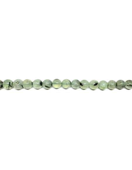 Prinita 8mm