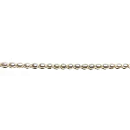 Perlas Arroz 6-7x8mm