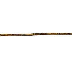 Ojo de Tigre tubito 3x5mm