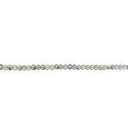 Prinita 4mm