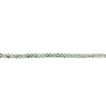 Prinita 4mm