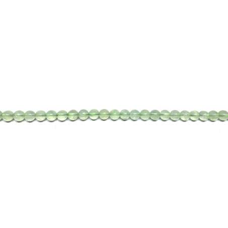 Prinita 6mm