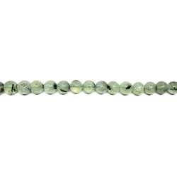 Prinita 10mm