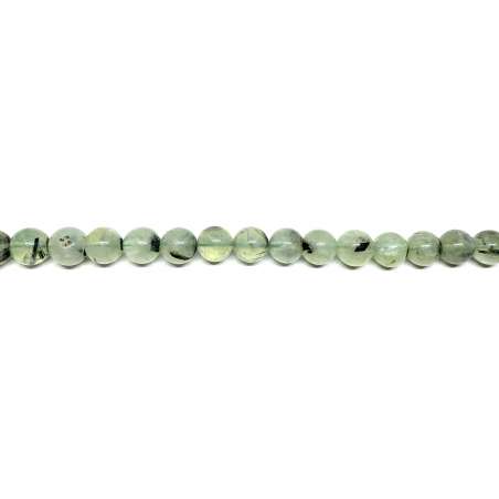 Prinita 10mm