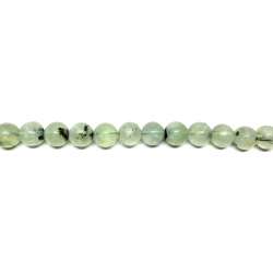 Prinita 12mm