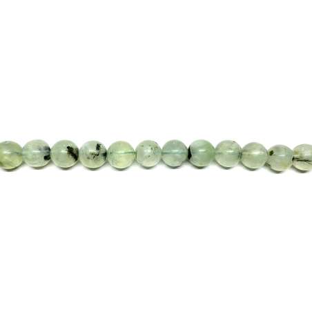 Prinita 12mm